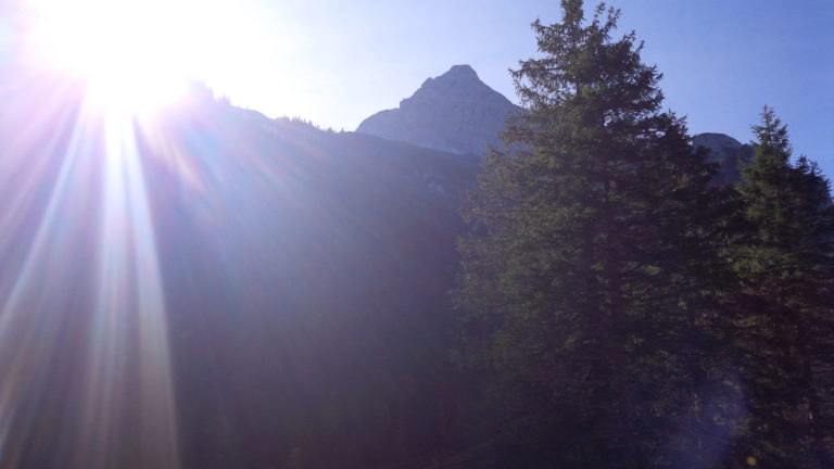 Gelebte Nachhaltigkeit durch feste Rückkaufgarantie bei MBL